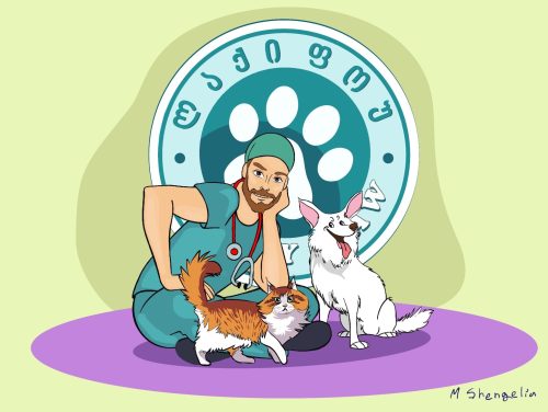 549361579 1447472890711876 7419745865426790423 n